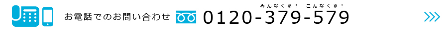 お電話でのお問い合わせ　0120379-579
